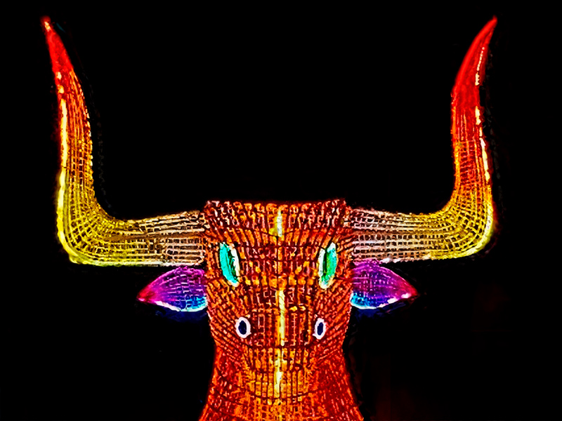 tradicion-que-ilumina